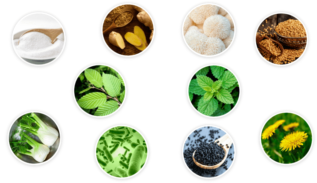 PrimeBiome Reviews - Ingredients