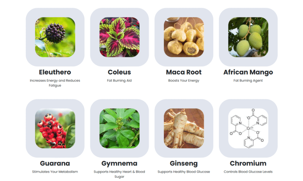 Sugar Defender Reviews - Ingredients